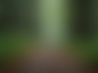 The Power of Perseverance: Embracing Your Purpose