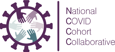 N3C Logo 1808x829 transparent (1).png