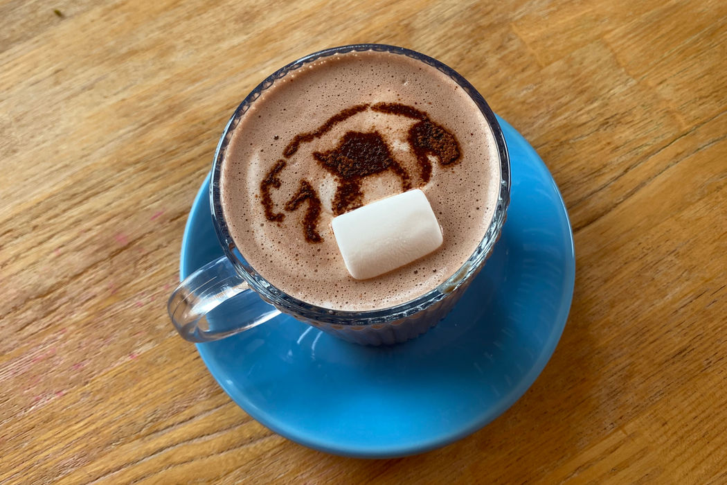 Hot chocolate at Cafe Crest with Otaru Adventure bear logo on top.