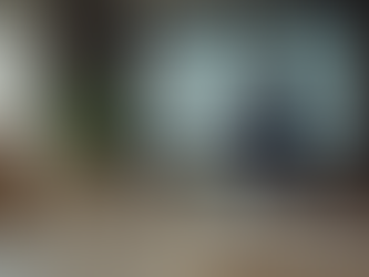 Commercialization Strategies for Products and Services Excellence