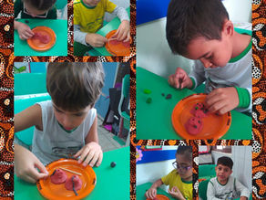 Laboratório de Insetos