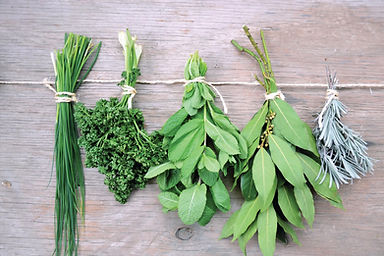 Clinicas-Persona-Ervas-aromaticas-e-especiarias-Site.jpg