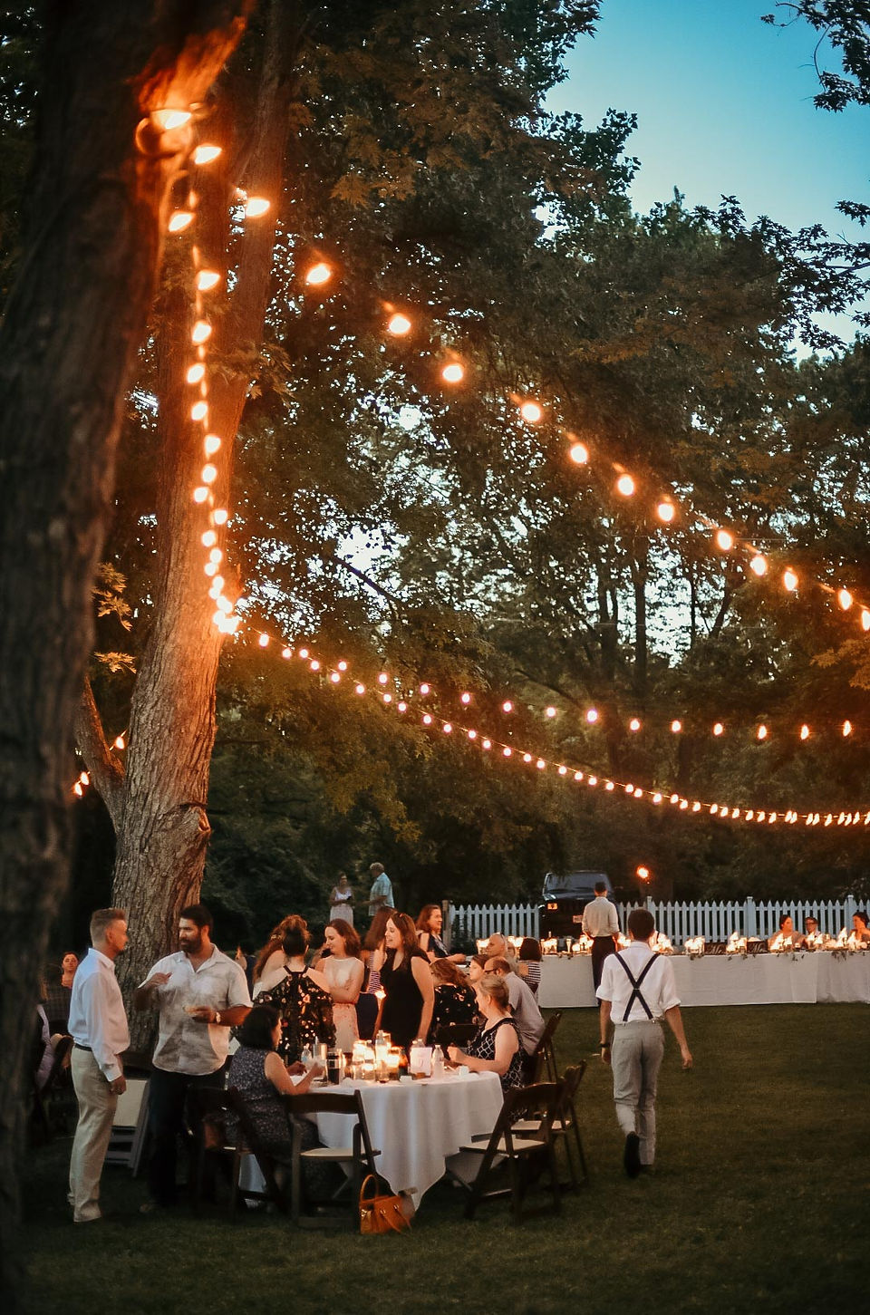 Reception Lights