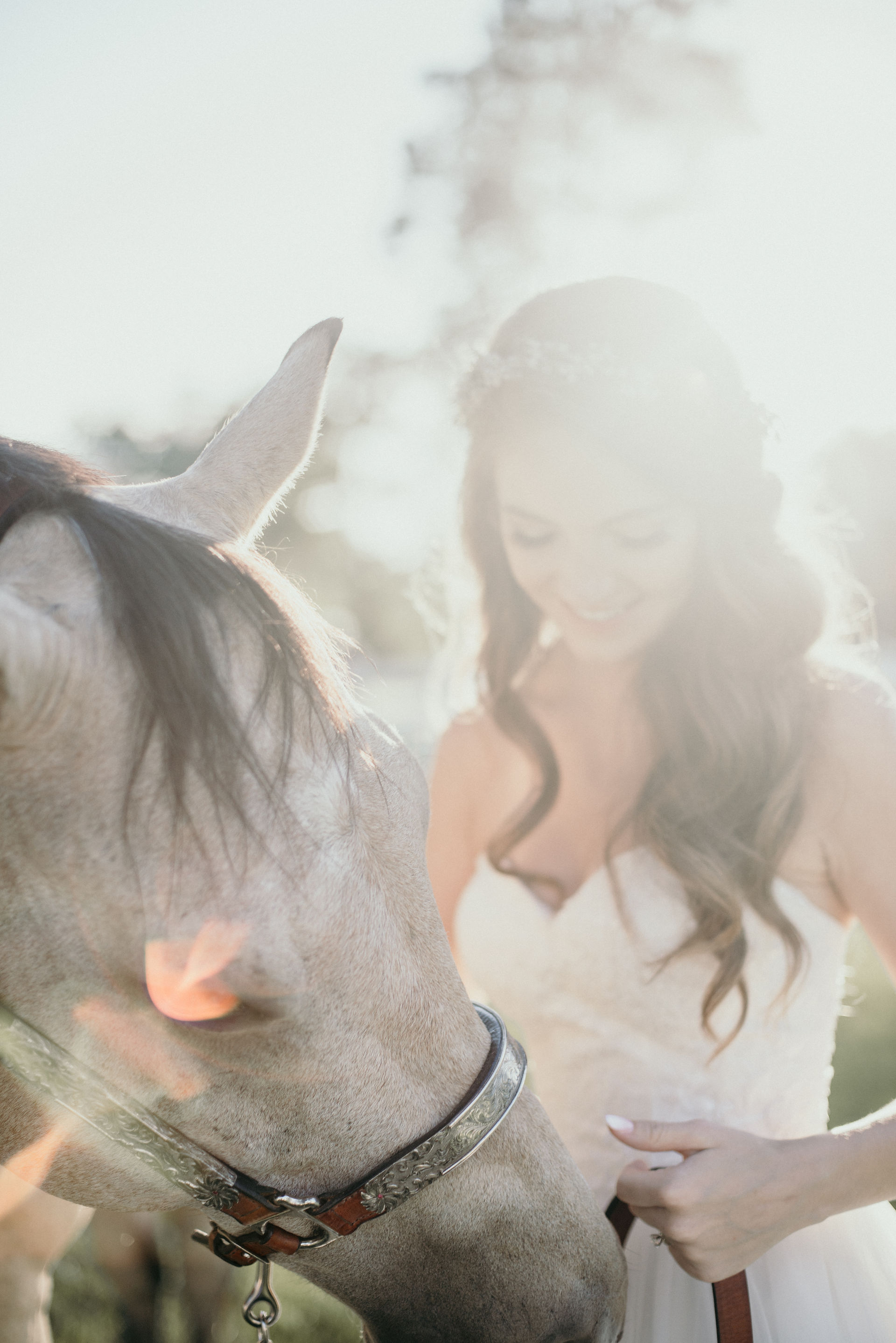 Horse Bride Cincinnati Ohio Photograph