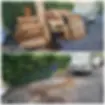 cr=t_0,w_100.webp