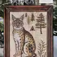 BOBCAT, A year in the woods II, part 8, Cottage Garden Samplings