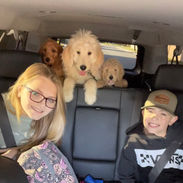 Mollie, Duke and Gracie on their way to the vet for a checkup.