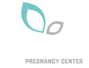 BPC_Logo_Primary_Color_Light (2).png