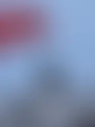 Entenda por que os EUA querem a Groenlândia e Quem pode Defender a Ilha