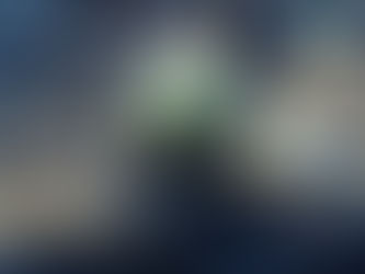 Banco Mundial: projeto amplia acesso a mercados de carbono no Brasil