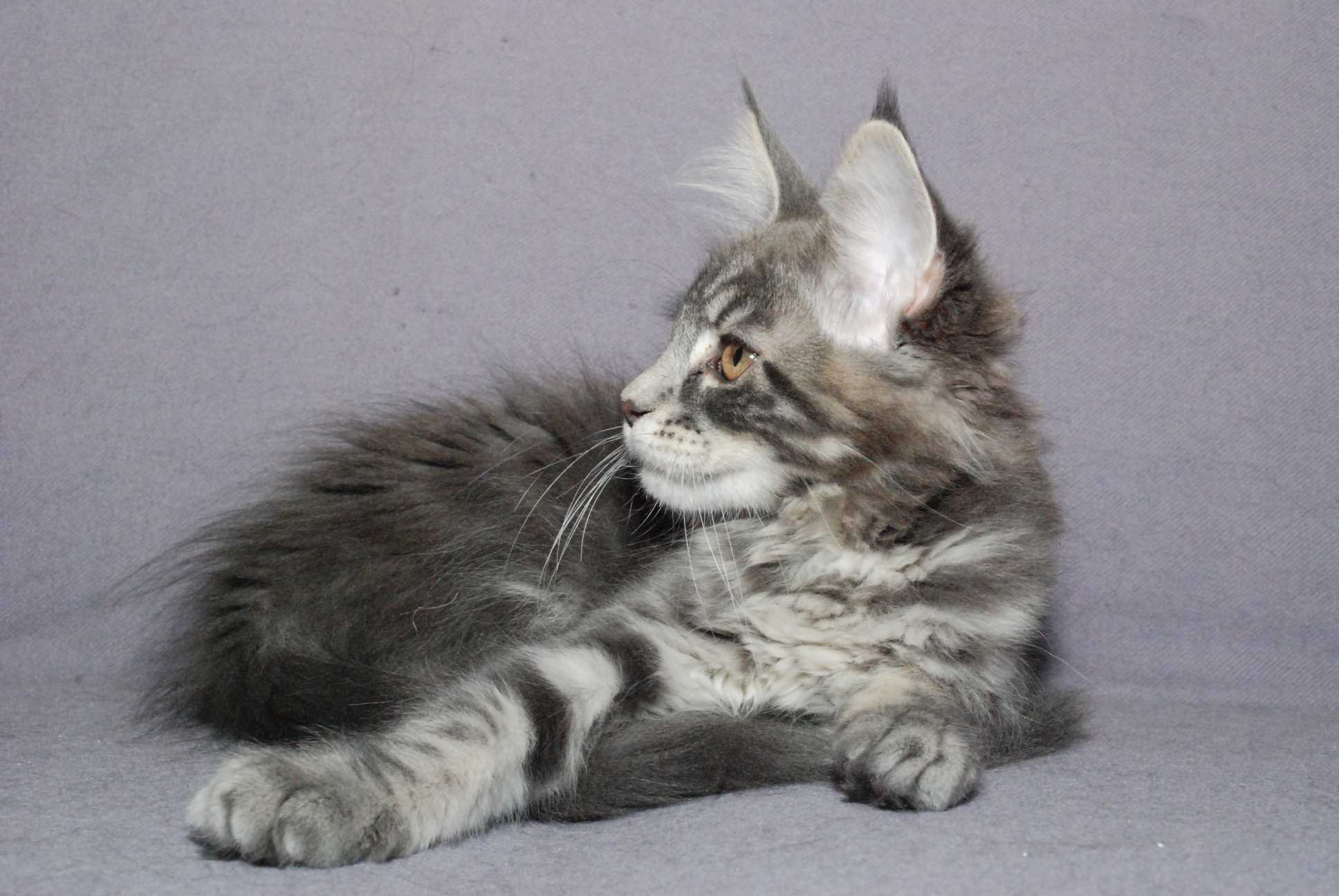 12 Uger*weeks