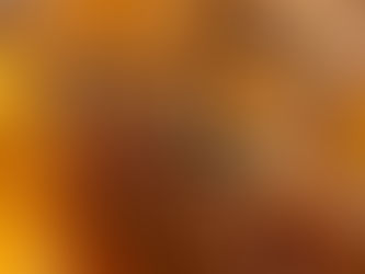 Súmate y participa al PRD SONORA