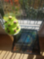 Изображение WhatsApp 2024-05-08 в 17.27.16_c7122c4e