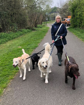 St Johns Walkies, Dog Walker St Johns WR2, Dog Walking Henwick, Dog Walking Lower Wick, Dog Walker Lower Broadheath, Dog Walking Hallow, Dog Walker Rushwick, Dog Walking Dines Green, Dog Walker Worcester, St Johns Walkies WR2