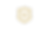 Police Icon.png