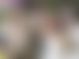 A Bride and Groom with confetti in an English garden