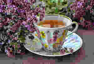 Cup of tea in a china cup