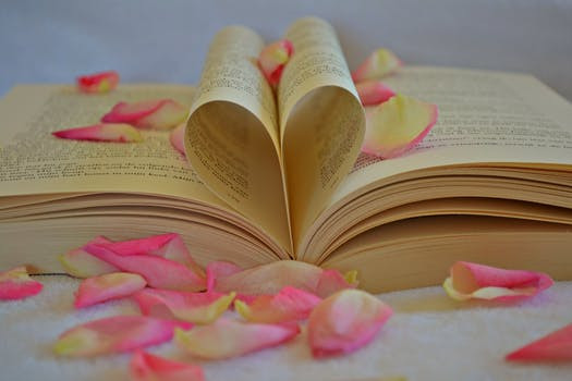 Open pages of a book making a heart shape and covered in scattered rose petals