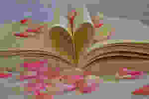 Open pages of a book making a heart shape and covered in scattered rose petals