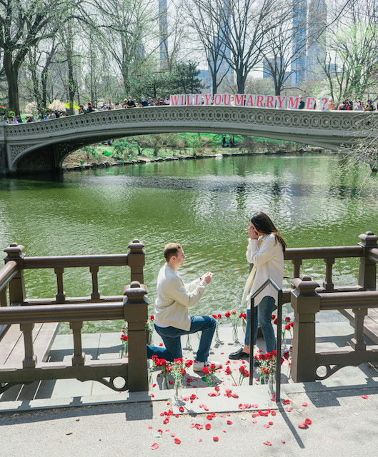 Young man on one knee surrounded by rose petals, proposing to his girlfriend in a public park, with a Will You Marry Me? sign on a nearby bridge, and a crowd of people watching