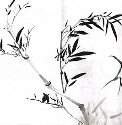 水墨画-《花中四君子：竹》媒介-水墨