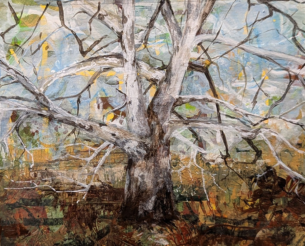 Hey Andrew Wyeth #1
