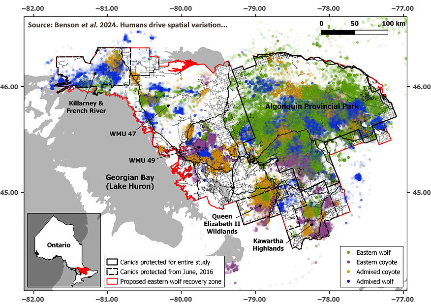 Benson 2024 proposed recovery zone map.JPG