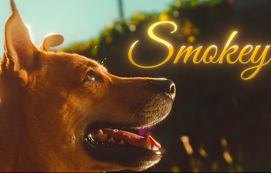 Smokey Thumbnail.png