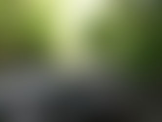 الحدائق والطبيعة تحسن الحالة العقلية