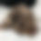 Thumbnail: Janis Joplin
