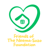 FNS Transparent logo.png