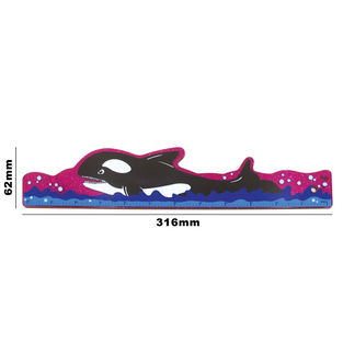 Plastic Ruler