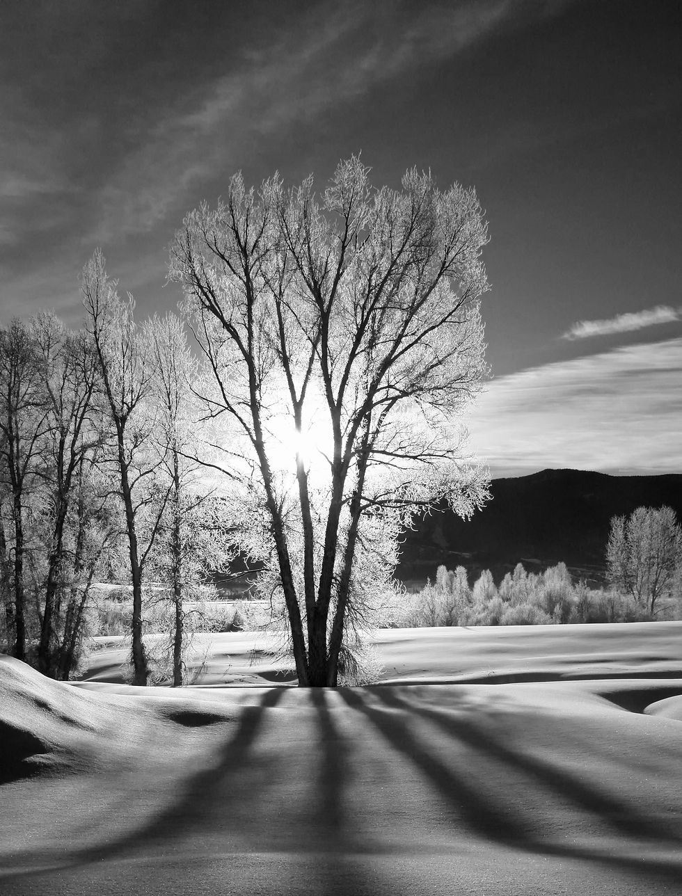 First Light