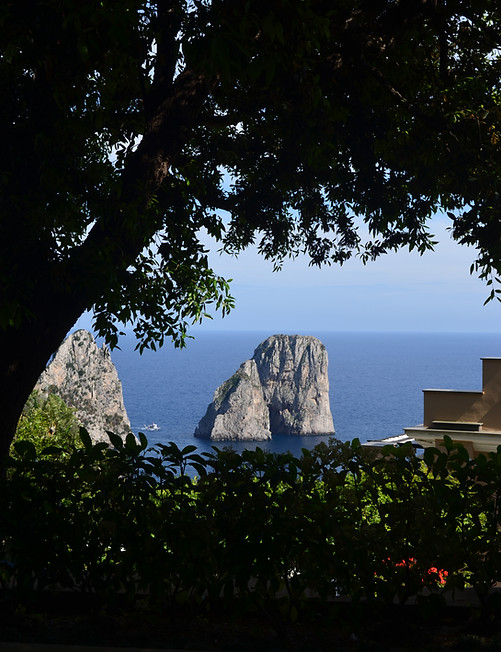 DSC_0676.jpg