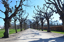 DSC_0311.JPG