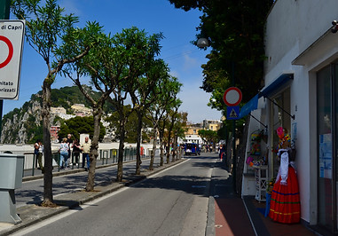 DSC_0596.jpg