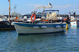DSC_0023.jpg