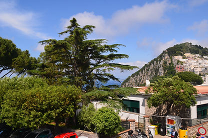 DSC_0585.jpg