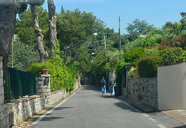 DSC_0219.jpg