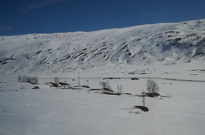 DSC_0632.jpg