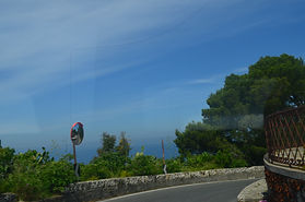 DSC_0218.jpg