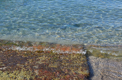 DSC_0028.jpg