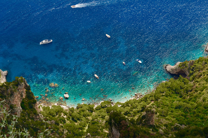 DSC_0408.jpg