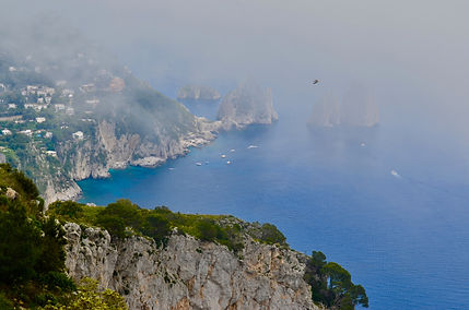 DSC_0410.jpg