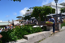 DSC_0364.jpg