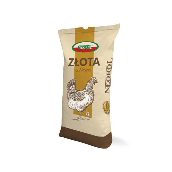 600-produkt-zlota-kurka.png