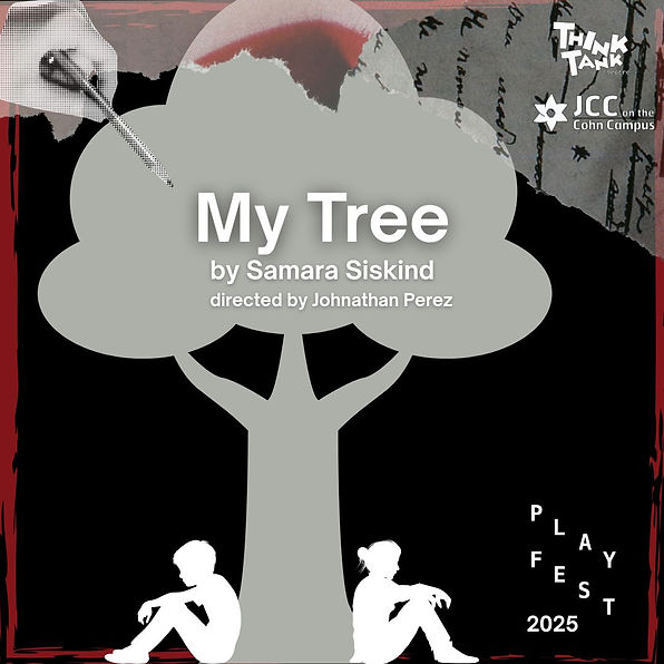 PlayFest 2025 Images.jpg