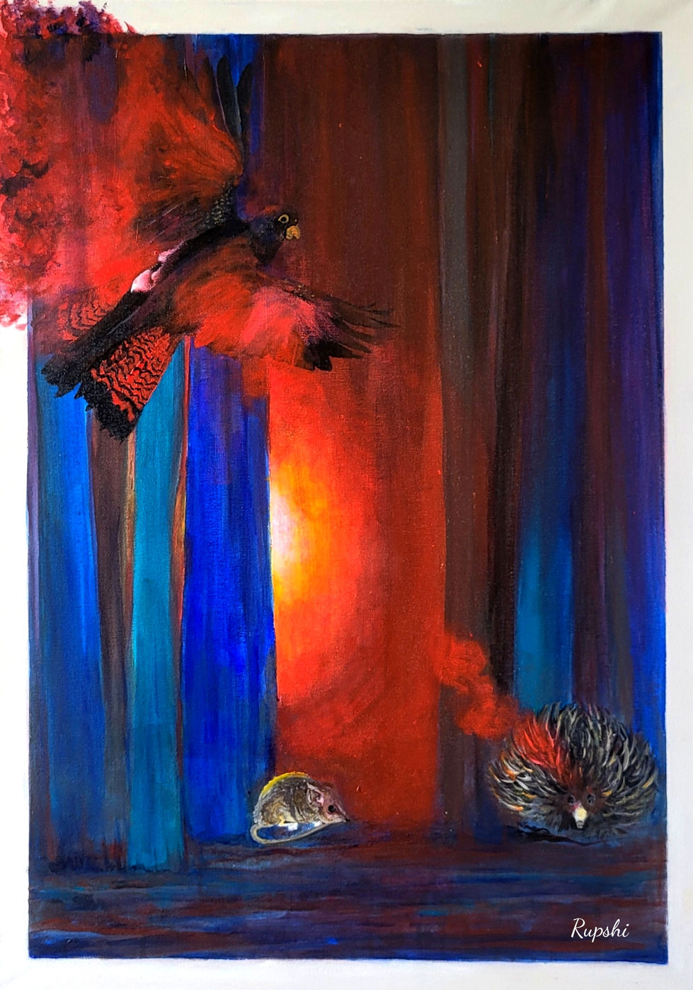 Kangaroo Island Call