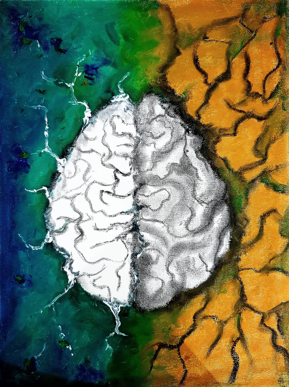 Decision Point in our brain