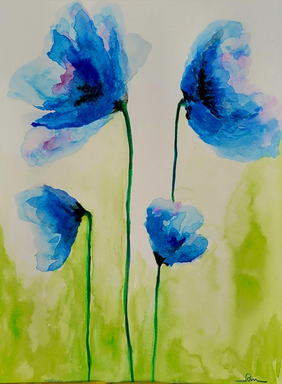 Blue Poppies